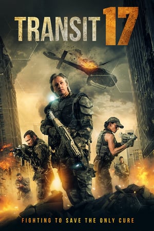 Сектор 17 онлайн